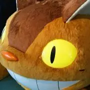 ひろぴろの画像