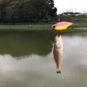 みげる