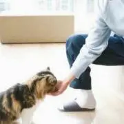 なおの画像