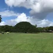 コージの画像