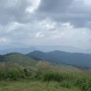 たけの画像
