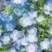 ユイの画像