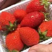 nanani82の画像