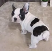 miの画像