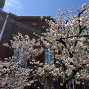 S.Hの画像