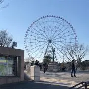 zakkironi