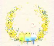 sakuchikoの画像
