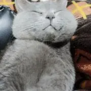 つきちゃんの画像