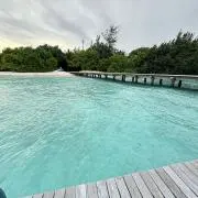 月の光の画像