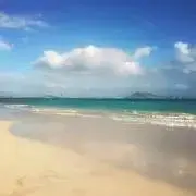 keinokoの画像