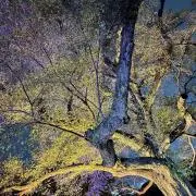 ka⭐︎引越し前後につき値下げ検討しますの画像