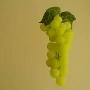 ろゆの画像