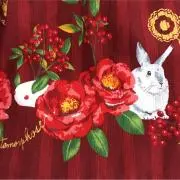 サラメル