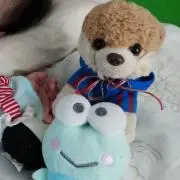 バンダイ リトルキッズ ぬいぐるみ　まめっち バンダイ リトルキッズ ぬいぐるみ まめっち - メルカリ
