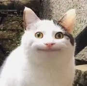 おでん