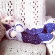 takenokoの画像