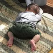 こんたの画像