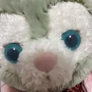 譲葉の画像