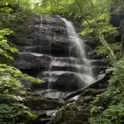 oneの画像