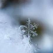 つばさの画像