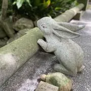 ROROの画像