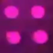 み