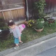 Tarochan