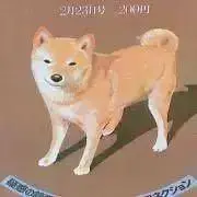 ハルの画像