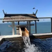 しんすけ