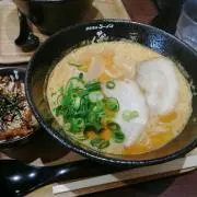 鷹の画像