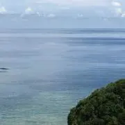 kuratの画像