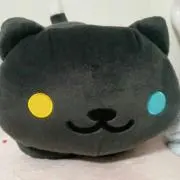 Image of まーちゃん
