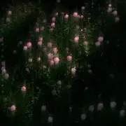 snoopyの画像