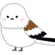 YTの画像