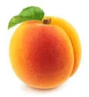 Apricotの画像