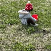 ゅぁママの画像