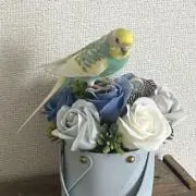 まろの画像