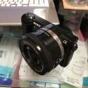 カナリヤ君の画像