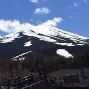 ナリの画像