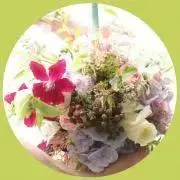 Green hikeの画像
