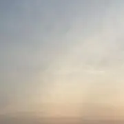 ぷの画像