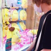 ぷぴきの画像