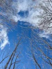 ☆chumutan✩の画像