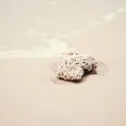 honey...の画像
