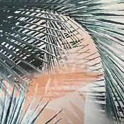 プロフ必読ください⭐︎の画像
