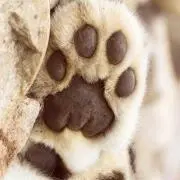 ☺︎まー( ¨̮ )︎︎