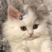 ♡