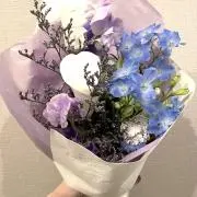 さくらの画像