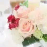 まかろの画像