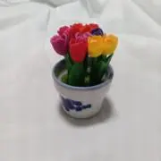 はるの画像